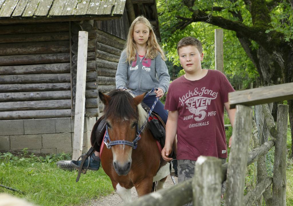 Farm stay Allesbauer - Familie Preis Trebesing